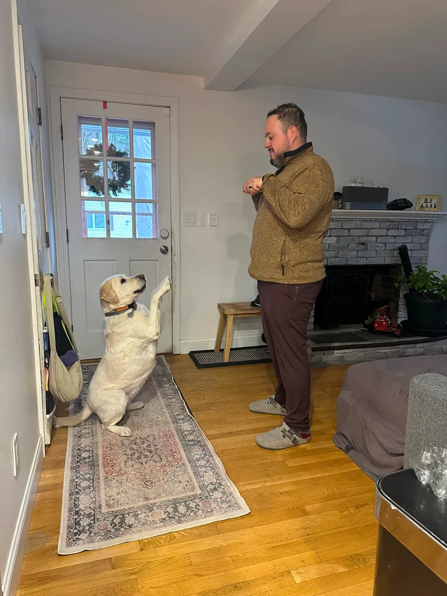 Gus holding a treat while a young yellow Lab stands up on hind legs to ask for it